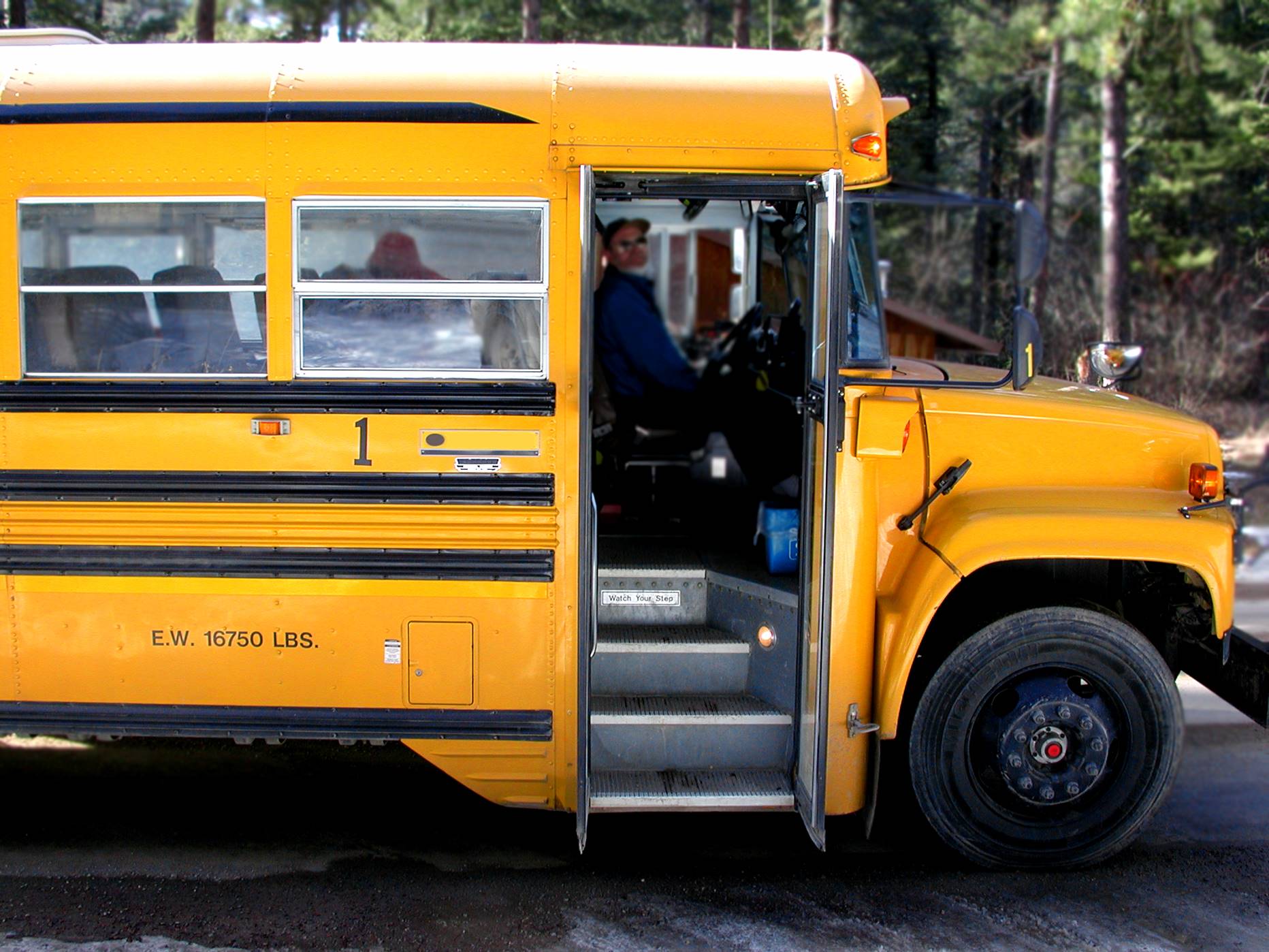 bus
